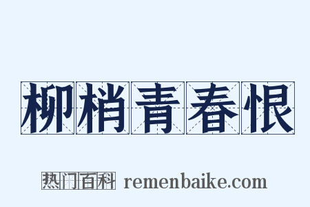 柳梢青春恨是什么意思的图片